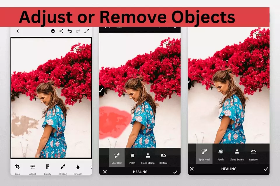 Adjust or Remove Objects